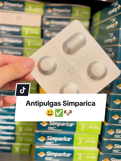 ¡Simparica! Elimina pulgas, garrapatas. Además ayuda al tratamiento contra la SARNA causada por los Ácaros 🐶💯 #simparica #sarnaenperros #perros #mascotas #doglover