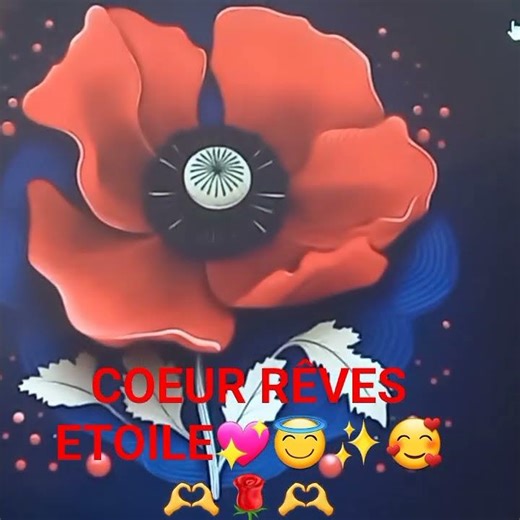 CŒUR 💖 RÊVES 🤩😇 ETOILE 🌟✨️🌟❤️❤️❤️ BON VENDREDI A TOUS 💖😇✨️ AMITIÉS ET BISOUS DE ROYAN🫶🌹🫶