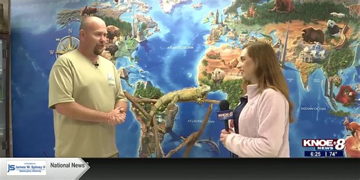 Zoo Buddy: Meet the Director!