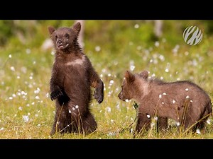 Celebrating nature on Earth Day 2022