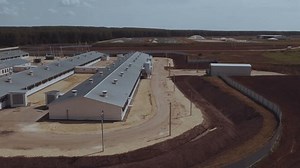 Luftaufnahmen von Schweinefleisch, Luftaufnahmen eines Schweinezuchtkomplexes,: Stockvideos & Filmmaterial (100 % lizenzfrei) 3398840643 | Shutterstock