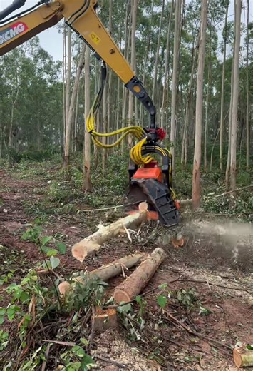 Tree Cutting with Logging Machine: Satisfying Timber Operations