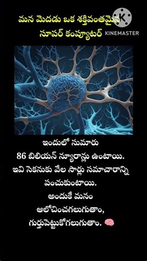 👉 మన మెదడు ఎంత పవర్‌ఫుల్ అంటే!#ScienceFact #BrainPower #TeluguFacts #AmazingScience #Shorts #telugu