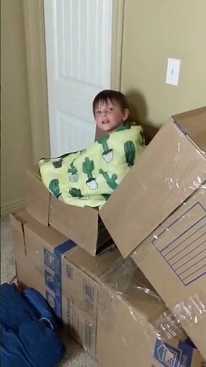 Stairs Turned Into Cardboard Box Slide || ViralHog