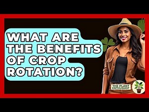 What Are The Benefits Of Crop Rotation? - The Plant Enthusiast