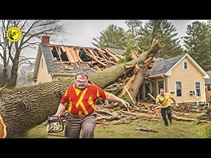 Fools With Chainsaws: Ladder Tree-Cutting Disasters & Roof-Smashing Chaos #18