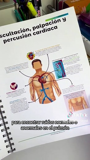 Examen físico: Pasos básicos y secuencia en medicina