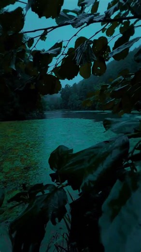 hi traveler take a break ❤️‍🩹☺️ #asmr