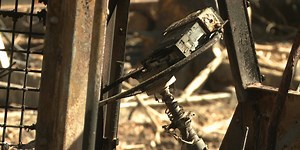 Logging company loses nearly $1 million in equipment damages