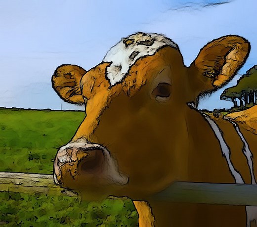 Non-Photorealistic Rendering using OpenCV ( Python, C   ) | LearnOpenCV #