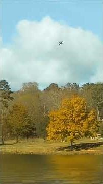 Realflight Evolution E-Flite EC-1500 Twin et P51 Mustang 4k60 fps