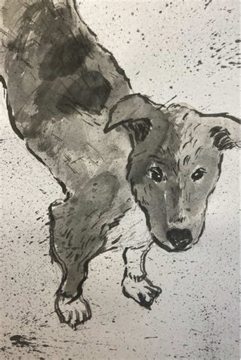 วาดให้น้องๆ…น่ารักทุกรูปเลย 😊 . #dog #cat #drawing #ink #art | drawing