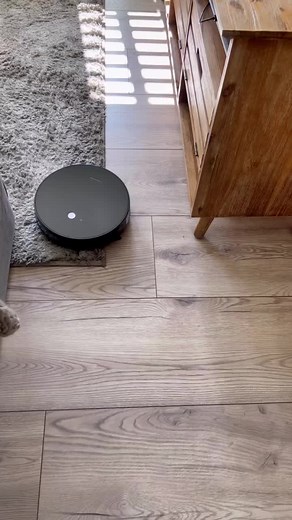 Thinkkitchen Probot Vacuum Cleaner: Blinking Red and Green Fix