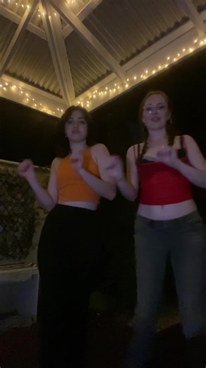 Muscular Pitbull Life