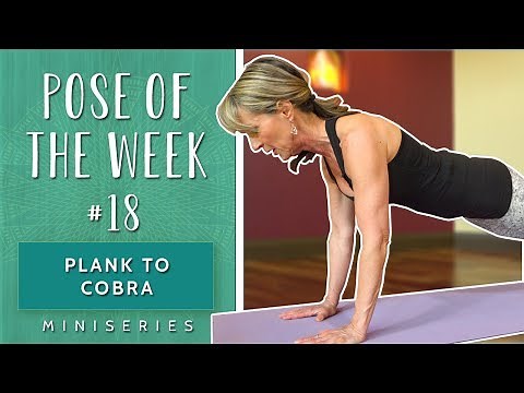 Plank to Cobra | Pose of the Week #18