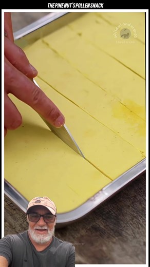 The pine nut's pollen snack😋 #reelsvideoシ #reelsviralシ #cuisine #short | Sam Recipes