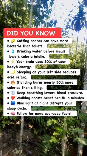 Everyday Facts That Change EVERYTHING ⚡📘#lifehacks #everydayfacts #learnmore | Math & Puzzle