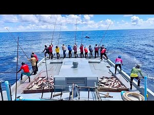 FULL VIDEO OF CATCHING SKIPJACK TUNA BY POLE AND LINE 🎣