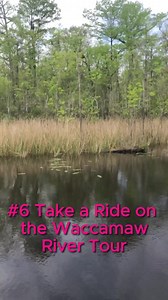 16 reactions | Spring break in Myrtle Beach is calling! ☀️ From Broadway's buzz to river tour tranquility and sky-high thrills, we've lined up the top 8 must-dos for your ultimate getaway. Ready to make waves?  #SpringBreak #Travel #Adventure #MyrtleBeach #VacationVibes #FamilyFun #BeachLife #Entertainment #NatureTours #ThrillSeekers #SunBathing | MobileBrochure | Facebook