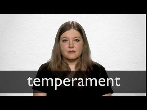 How to pronounce TEMPERAMENT in British English