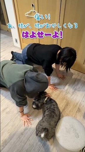 あこだけが知ってるすぐに使える人生の裏技（？）#Shorts