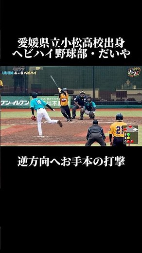 名将・宇佐美監督の元、今治西イズムの小松高校出身。#野球 #baseball #兵頭てつ兄 #ヘビハイ野球部 #shorts