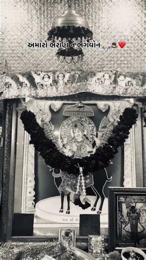 Jay meldi Maa..🙇🏻🌎❤️#shorts #meldimaanewstatus #meldi #meldimaa #viral #treding #youtubeshorts #love