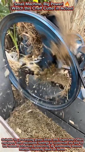 Small Machine, Big Power! 🔥 Watch this Chaff Cutter in Action!