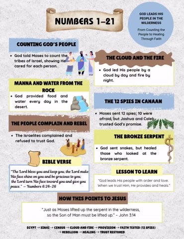 The Entire Bible Made Simple: A Beginner's Bible Study Workbook and Summary Guide - Etsy