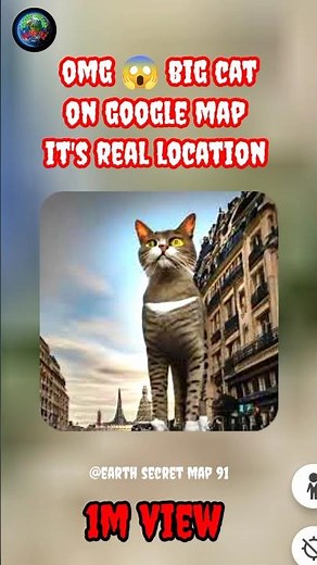 OMG 😱 big cat location it's real life on google map #cats #cat #shorts #giant #viral #earth #status