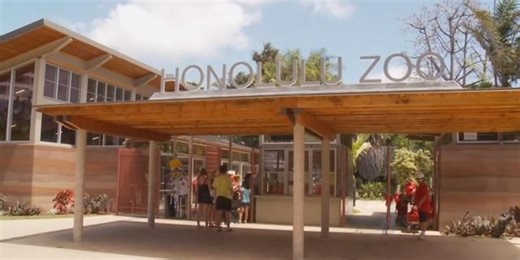 Honolulu Zoo launches digital ticketing system