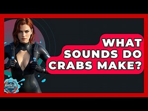 What Sounds Do Crabs Make? - The Marine Life Explorer