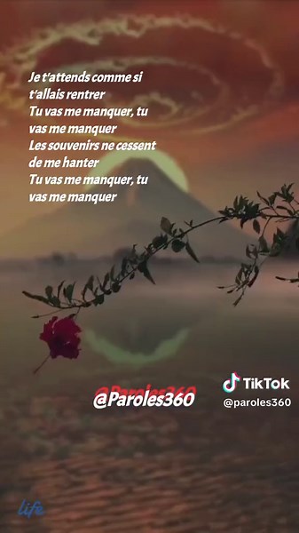 Paroles 360 sur TikTok