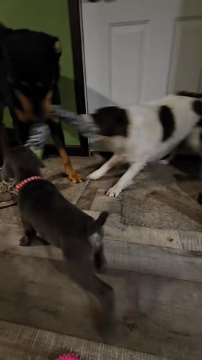 Cardigk 7sx on Reels | Facebook