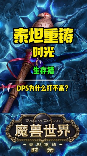 魔兽世界时光服之生存猎伤害为什么打不高？
