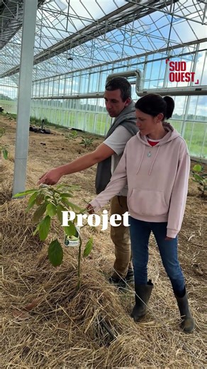 A bioclimatic greenhouse in the Bergerac region #agriculture #gardening