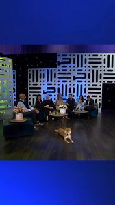 87K views · 1K reactions | Ftakar dejjem, Int kif Int - Jien se nkun hemm 凉 L-imħabba ta’ omm vera ❤️ | Sibtek | Facebook