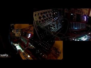"bird swarms" modular synth ambient live sequencing