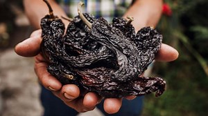 You Should Peel Your Dried Chiles