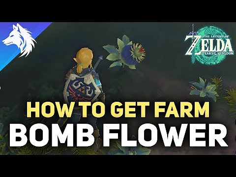Where To Farm Bomb Flowers | Zelda Tears of The Kingdom