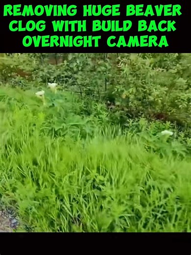 5.7K views · 49 reactions | unclogging culvert | 퐩퐨퐬퐭 ퟏퟎ | Facebook