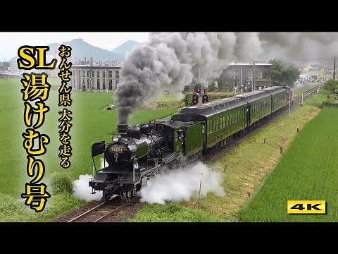 47年ぶり !!! SL湯けむり号 ハチロクが久大本線を走る !!!【4K】