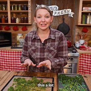 Freeze Drying vs. Dehydrating | How are they Different? | Homesteading Family