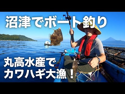 沼津ボート釣り - 丸高水産でカワハギ大漁！