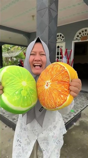 Two Pillows, One Big Laugh! 😂🛋️😁😀😁