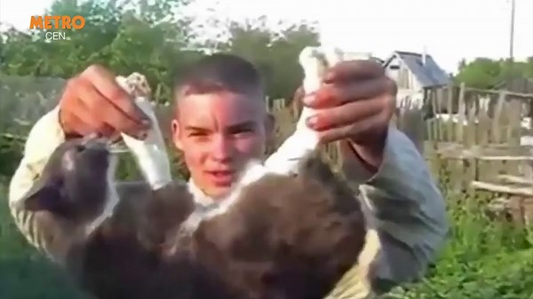 Russian teens post video of cat killing