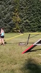 Dobry den, vcera jsme se vratili s tydeniho agility soustredeni, kde uz Bafa ( Mína) regulerne behala. Je moc sikovna a trener z ni byl nadseny, jak se rychle uci. A to i presto, ze harala. Bylo pro ni nove spani pod stanem, musela se naucit spat ve spacaku, aby ji nebyla zima, ale vsechno v pohode. Mela tam taky mlady partacky na hrani 😉 Tady je par videi, jak nam to slo 😁" | Psí štěstí