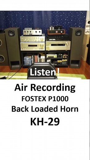 FOSTEX P1000 KH 29 #diyspeaker