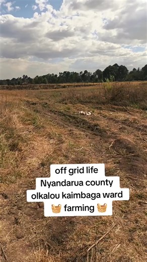 Exploring Off-Grid Farming in Nyandarua County