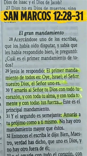 You shall love the Lord your God with all your heart ❤️ #wordofgod #loveofgod #faith #foryou #jes...